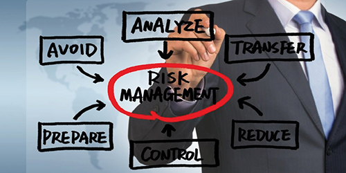 1 virtual risk consultant